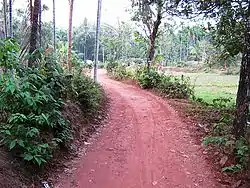 Velipara footpath