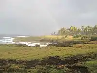 Coast of Tanna after rain.