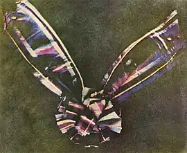 A bow made of tartan ribbon. The center of the bow is round, made of piled loops of ribbon, with two pieces of ribbon attached underneath, one extending at an angle to the upper left corner of the photograph and another extending to the upper right. The tartan colors are faded, in shades mostly of blue, pink, maroon, and white; the bow is set against a background of mottled olive.