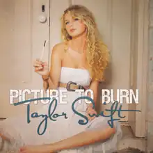 Cover art of "Picture to Burn"