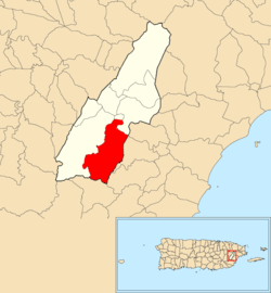 Location of Tejas within the municipality of Las Piedras shown in red