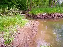 Image 11Humid wetland in Pennsylvania before a rain. (from Wetland)