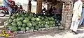A man selling watermelons in the summer۔