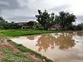A beautiful scene after rain