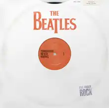A mock-up of a vinyl record with a plain white cover that has the album title and artist on it