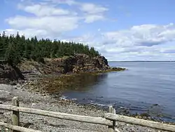 The Ovens Natural Park