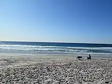 Carmel Bay on a sunny afternoon