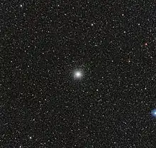 A small fuzzy white ball in the center of a speckled black backdrop