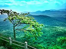 The view from the Malayattoor pilgrim