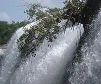 Thirparappu waterfalls