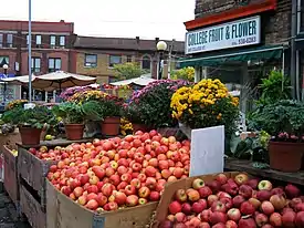 Street view of Little Italy from Beatrice and College Street