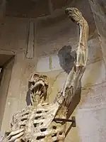 Detail from the Cadaver Tomb of René of Chalon, c. 1545–47. Musée du Louvre