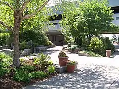 Trees on USI's campus