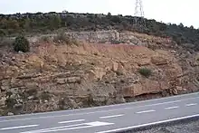 Three eras of deposition and two discordances are visible in this highway cut in the Netherlands. Note the color and slight angular change between the lower red bed layering and the middle strata. The upper strata are tilted yet again relative to the bottom layerings well demonstrating the cycles this land formation went through as part of the sea floor.