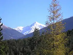 The Tresero in October 2005.