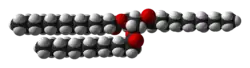 Space-filling model of trimyristin