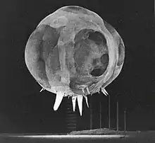 Blog of light seemingly mounted on a wire tower