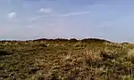 Bowl barrow and round cairn on Withypool Hill, 850&nbsp;m and 820&nbsp;m east of Portford Bridge