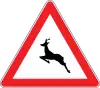 Wild animals crossing