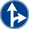 Proceed straight or turn right