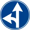 Proceed straight or turn left