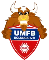 UMFB Basketball logo