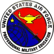 Air Force Professional Military Education Badge