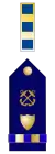 U.S. Coast Guard chief warrant officer 2 rank Insignia