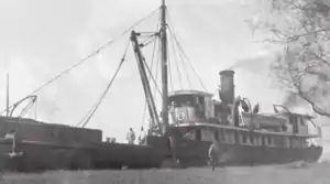 Lighthouse tender Camellia