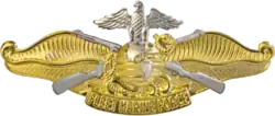 Fleet Marine Force [FMF] officer insignia