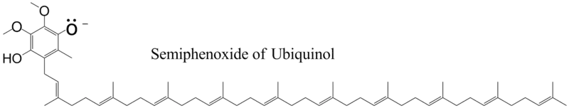 Ubiquinol, semiphenoxide