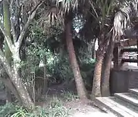 Part of the gardens at Umdoni Bird Sanctuary.