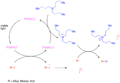 Mechanistic diagram of the reductive dehalogenation of unactivated carbon-iodine bonds