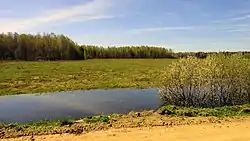 Landscape in Kimrsky District