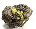 Uranophane crystals, from Madawaska Mine