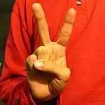 ASL sign for the number 2