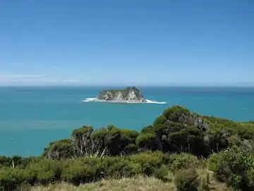 View from East Cape looking towards East Island / Whangaokeno