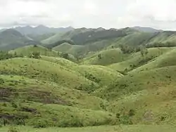 Vagamon Meadow 1