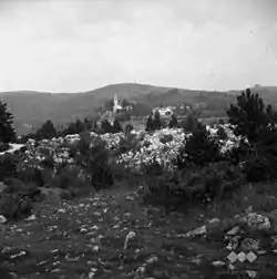 Slivje in 1955