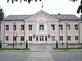 Verkhovyna district council