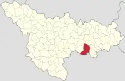 Location in Timiș County