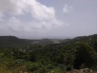 View from Los Bohios de Jaime on PR-975 in Río Abajo