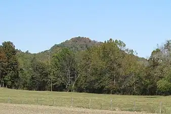 Vinyard Knob (high point- 960') in the central portion of the Knobs Region of Kentucky.