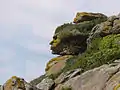 Pareidolia of a face in a rock