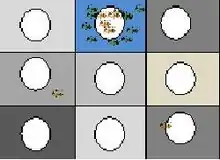 experimental design for testing color vision in honey bees.