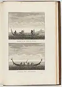 Illustrations of lisi from Voyage de La Pérouse autour du monde (1792)