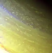 North, polar region of Saturn imaged in orange and UV filters