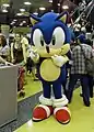 Sega's Sonic the Hedgehog series launched in 1991, and is considered one of the most iconic video game series of all time.