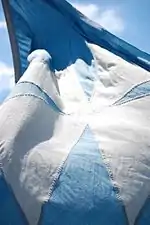 The flag of Wadham College