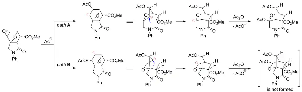 Plausible mechanisms of the Wagner-Meerwein rearrangement of diepoxyisoindoles